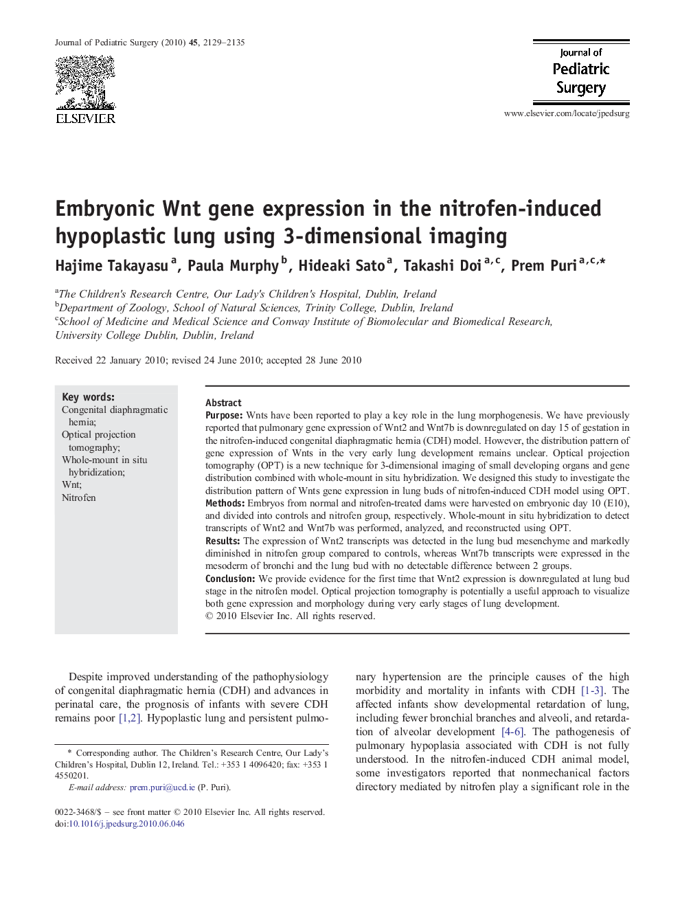 Embryonic Wnt gene expression in the nitrofen-induced hypoplastic lung using 3-dimensional imaging