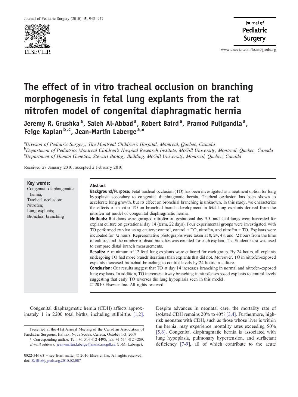 The effect of in vitro tracheal occlusion on branching morphogenesis in fetal lung explants from the rat nitrofen model of congenital diaphragmatic hernia 