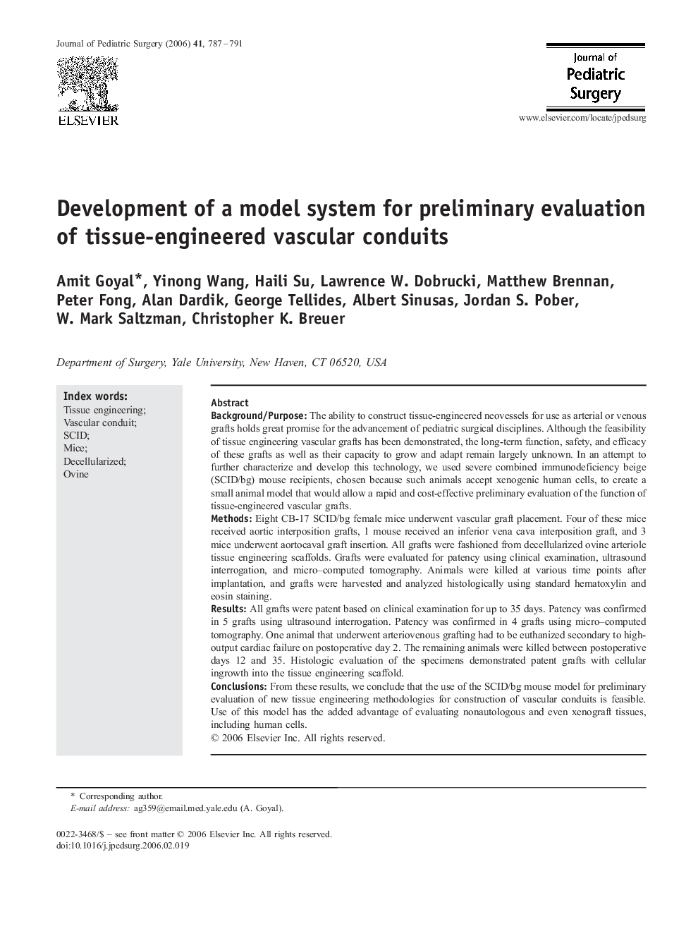 Development of a model system for preliminary evaluation of tissue-engineered vascular conduits