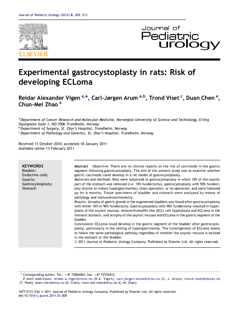 Experimental gastrocystoplasty in rats: Risk of developing ECLoma