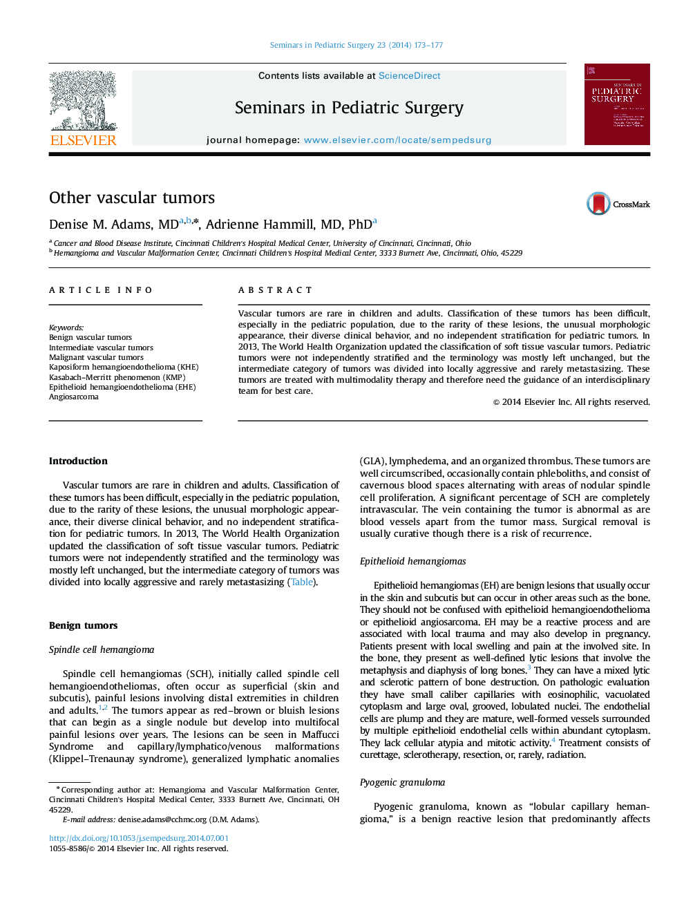 Other vascular tumors