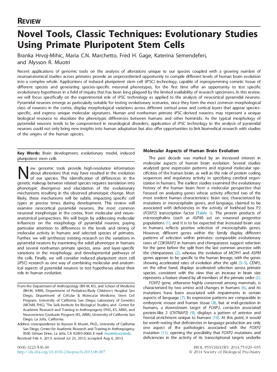 ابزارهای نوشتاری، تکنیک های کلاسیک: مطالعات تکاملی با استفاده از سلول های بنیادی پلوروپتوژن اولیه 