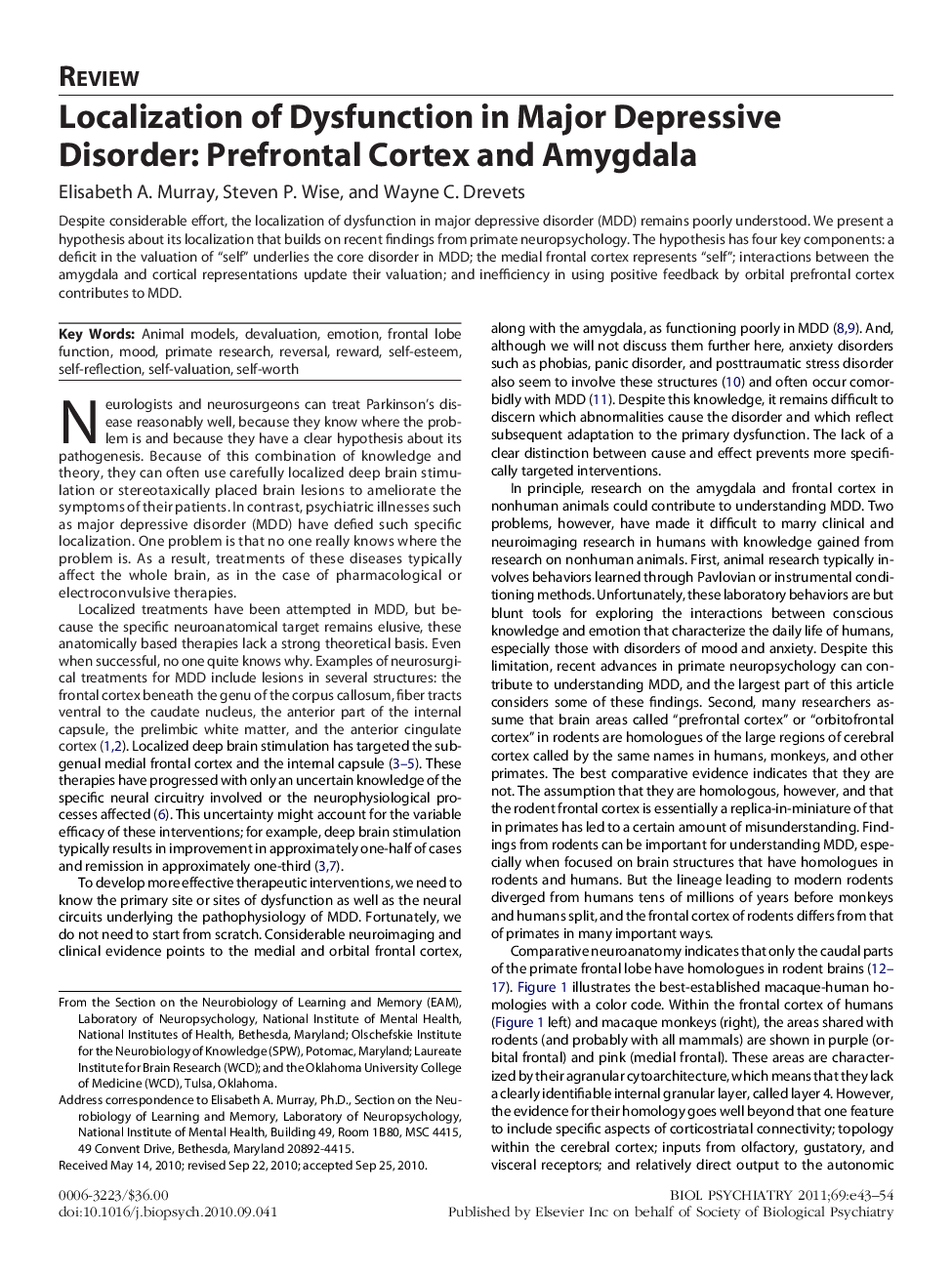 Localization of Dysfunction in Major Depressive Disorder: Prefrontal Cortex and Amygdala