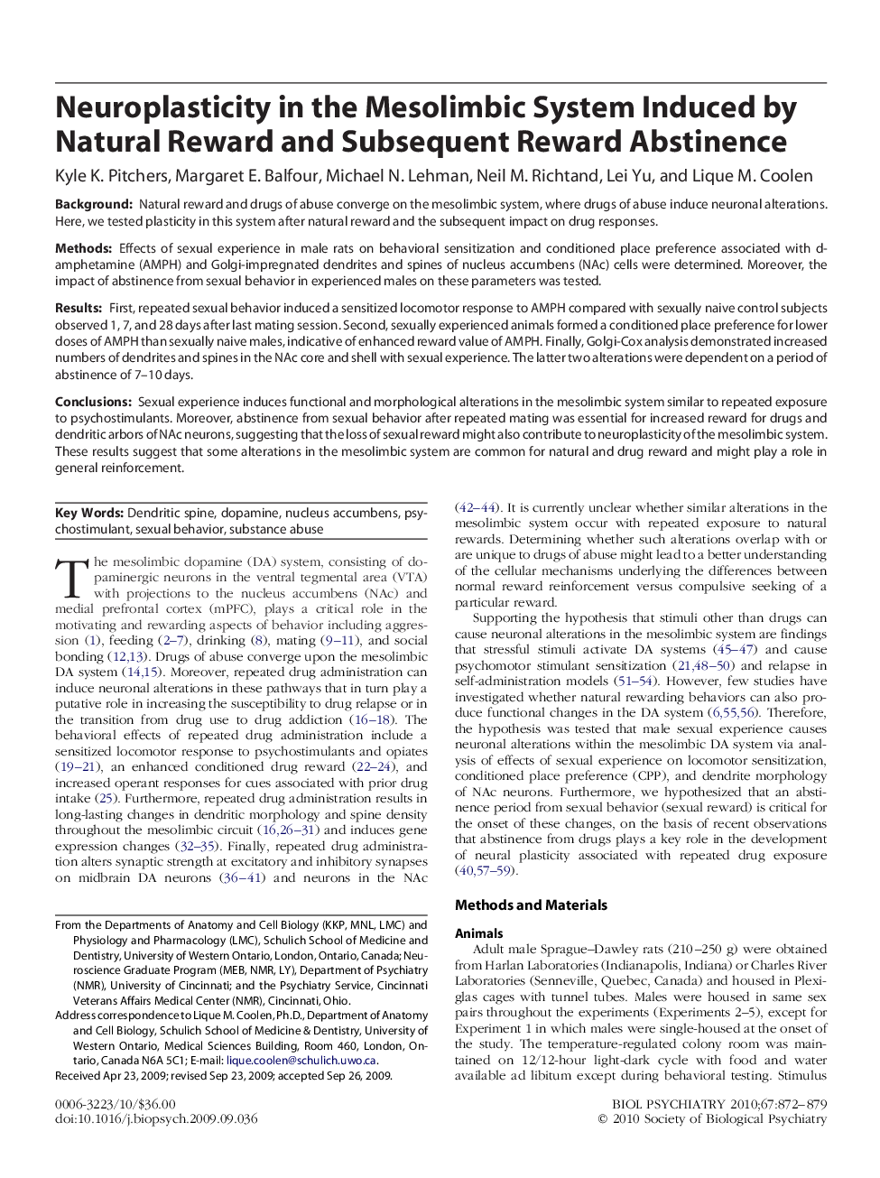 Neuroplasticity in the Mesolimbic System Induced by Natural Reward and Subsequent Reward Abstinence