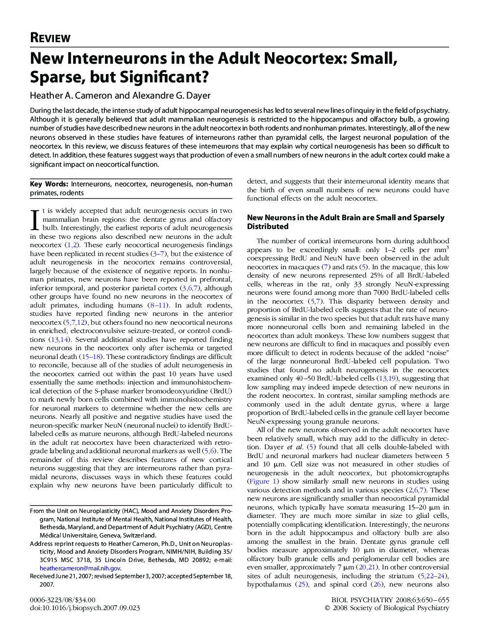 New Interneurons in the Adult Neocortex: Small, Sparse, but Significant?