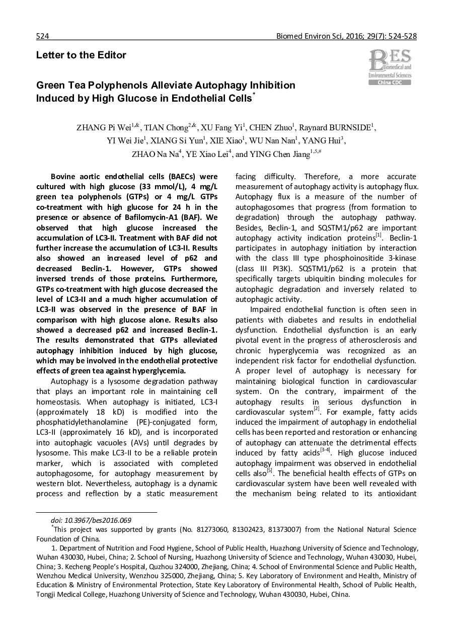 Green Tea Polyphenols Alleviate Autophagy Inhibition Induced by High Glucose in Endothelial Cells