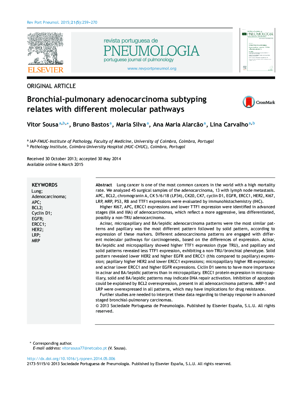 Bronchial-pulmonary adenocarcinoma subtyping relates with different molecular pathways