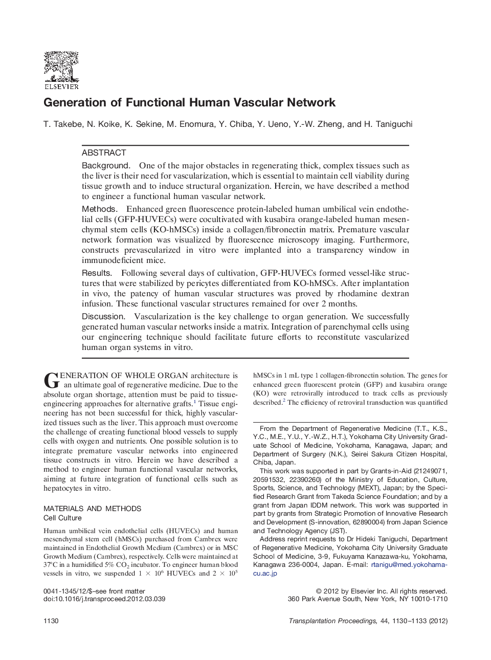 Generation of Functional Human Vascular Network 