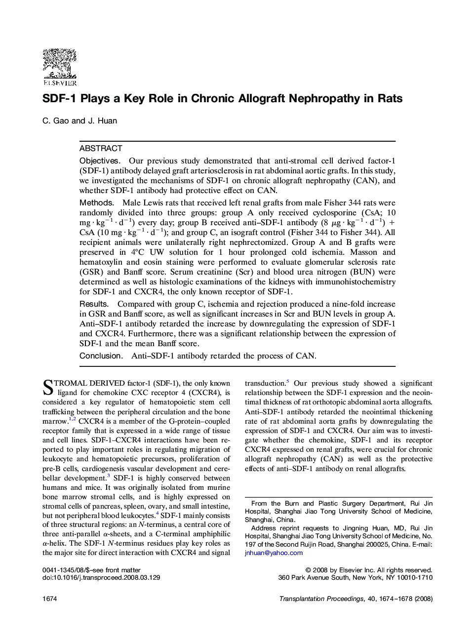 SDF-1 Plays a Key Role in Chronic Allograft Nephropathy in Rats
