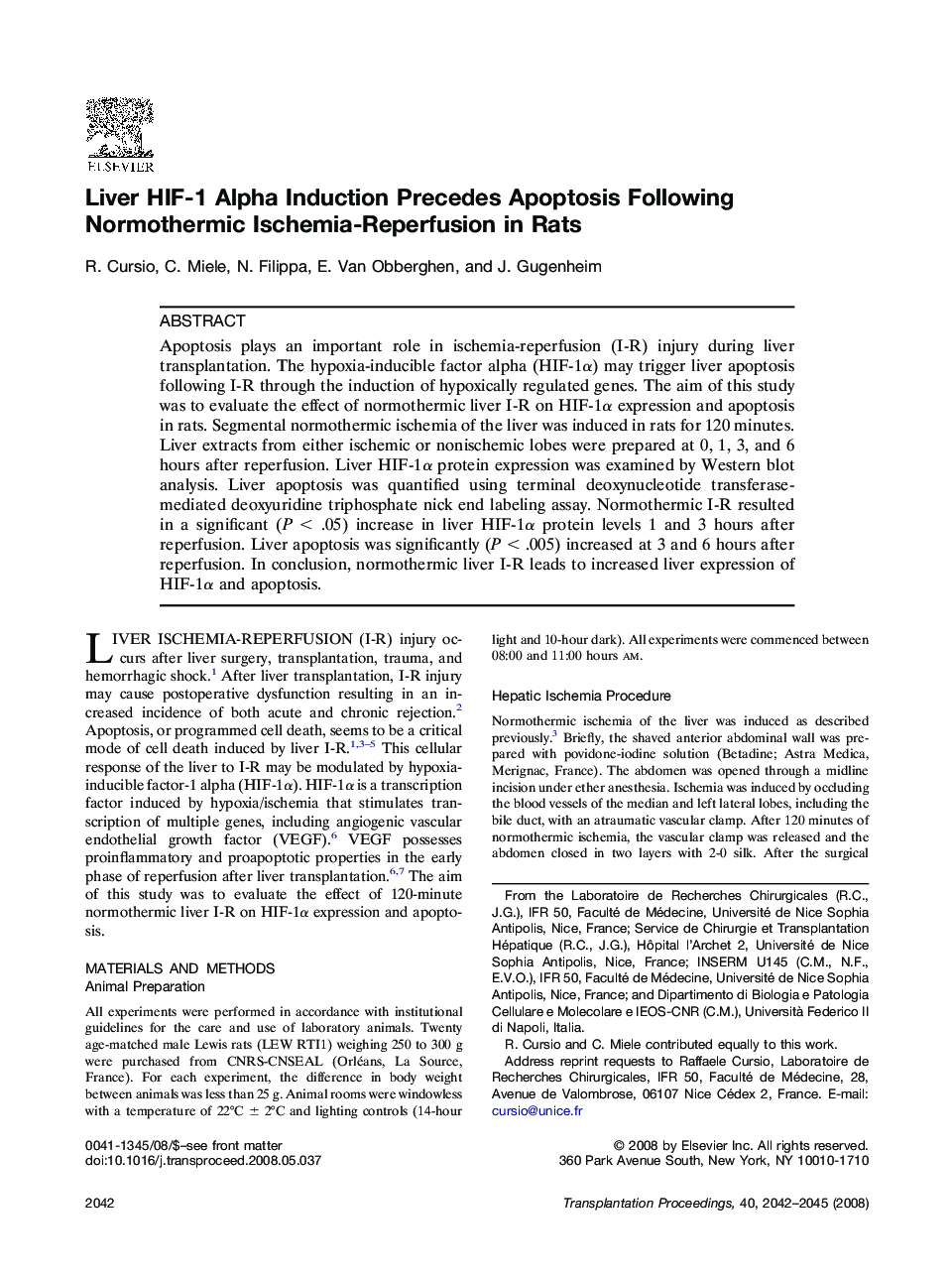 Liver HIF-1 Alpha Induction Precedes Apoptosis Following Normothermic Ischemia-Reperfusion in Rats 