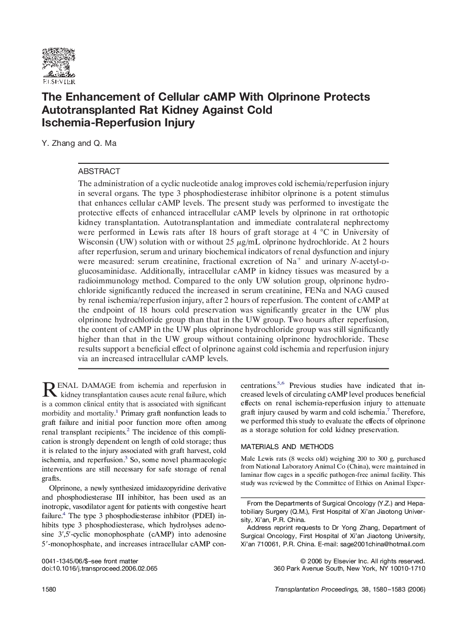 The Enhancement of Cellular cAMP With Olprinone Protects Autotransplanted Rat Kidney Against Cold Ischemia-Reperfusion Injury