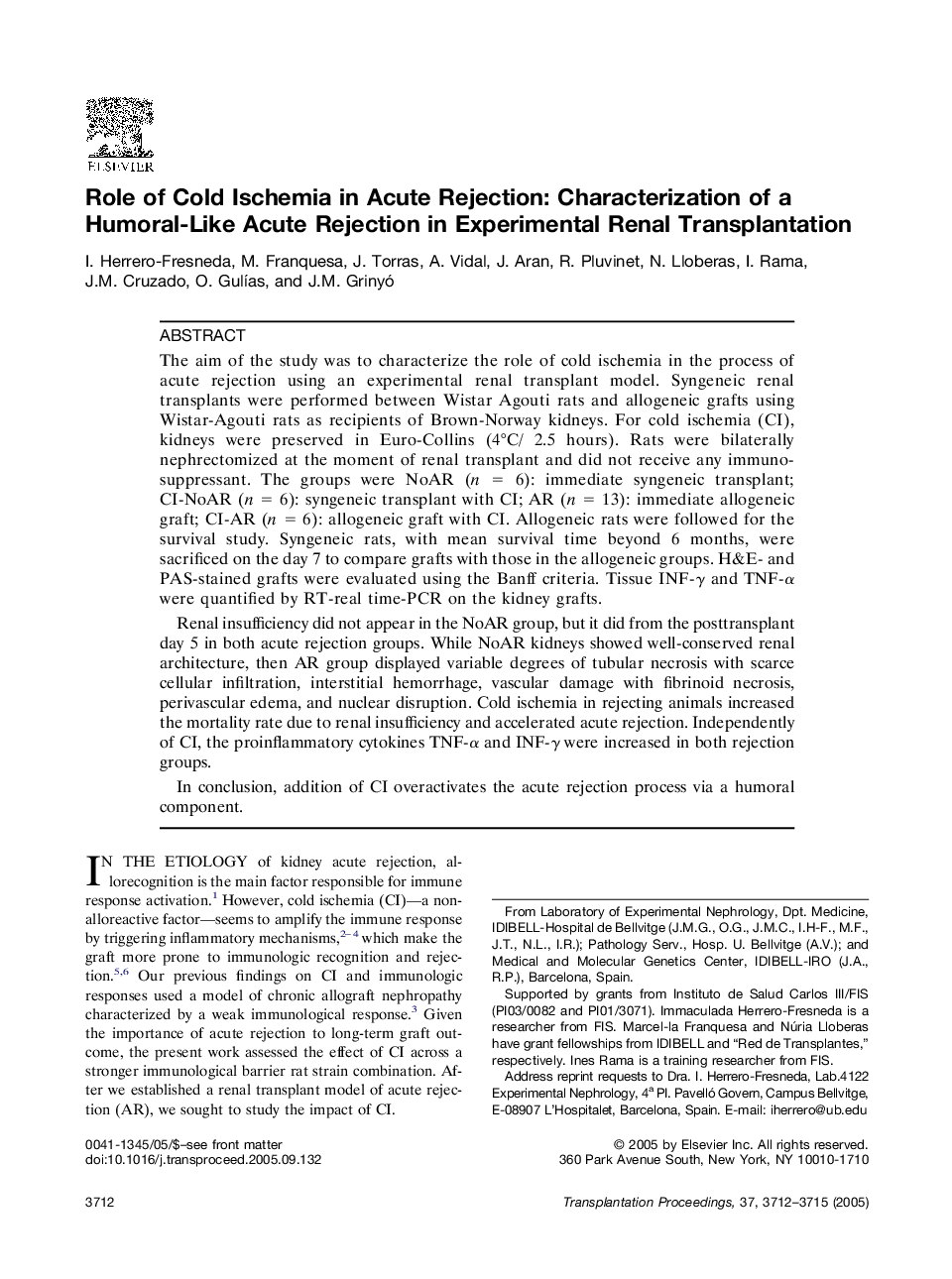 Role of Cold Ischemia in Acute Rejection: Characterization of a Humoral-Like Acute Rejection in Experimental Renal Transplantation 