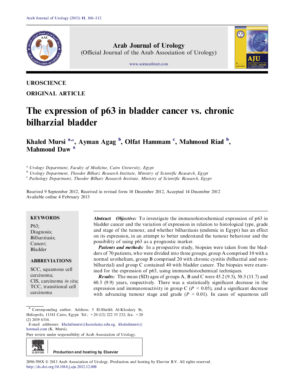 The expression of p63 in bladder cancer vs. chronic bilharzial bladder 