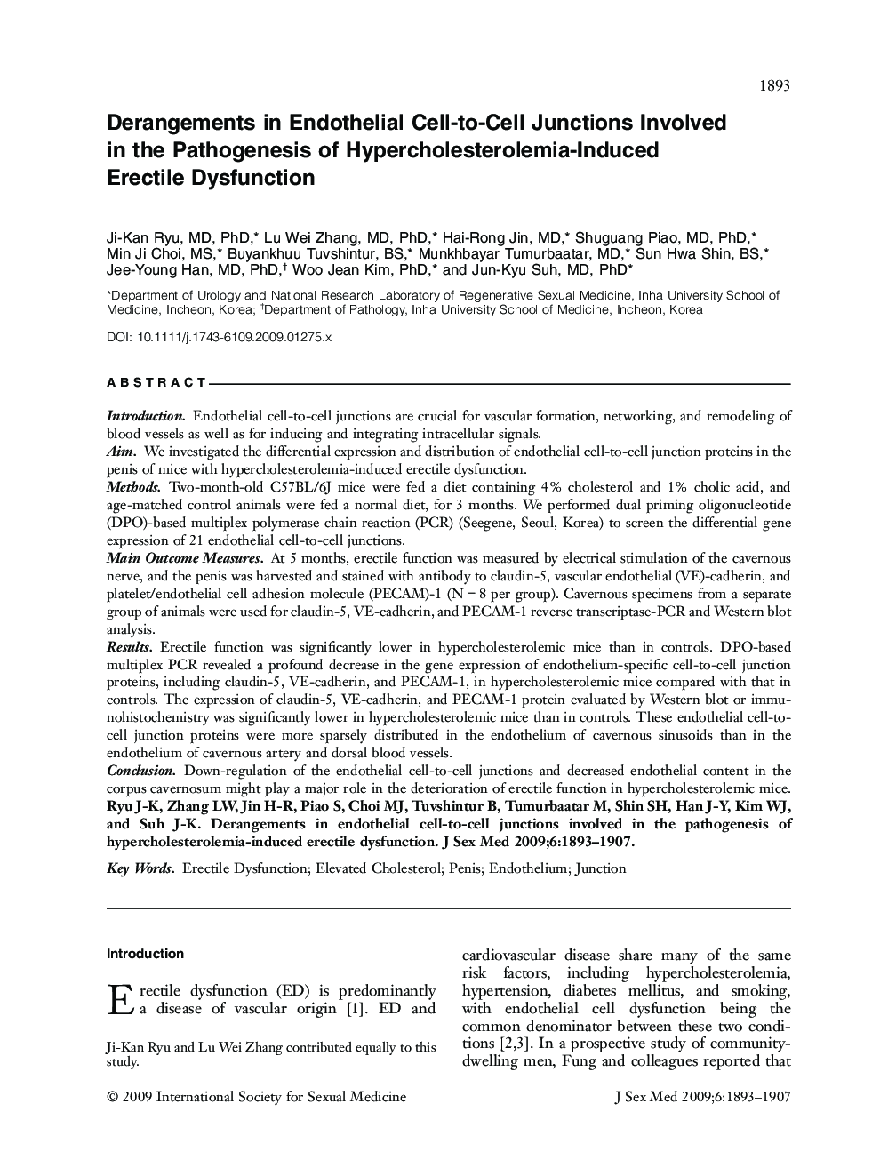 Derangements in Endothelial Cell-to-Cell Junctions Involved in the Pathogenesis of Hypercholesterolemia-Induced Erectile Dysfunction