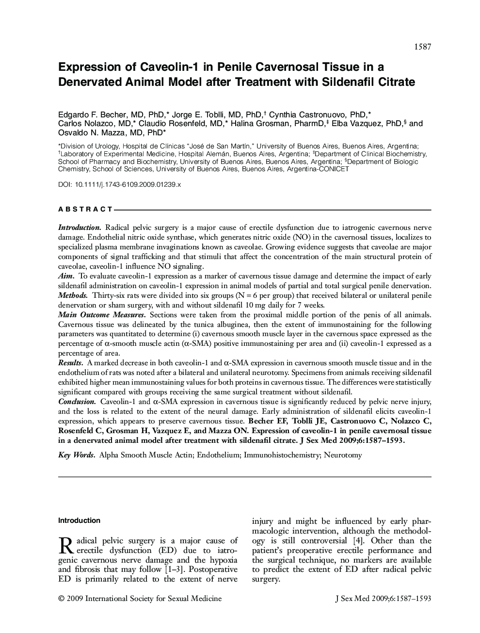 Expression of Caveolin-1 in Penile Cavernosal Tissue in a Denervated Animal Model after Treatment with Sildenafil Citrate