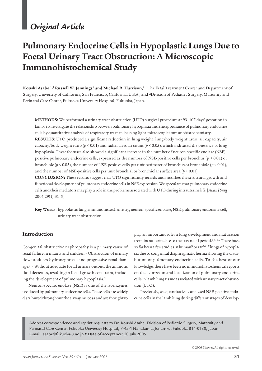 Pulmonary Endocrine Cells in Hypoplastic Lungs Due to Foetal Urinary Tract Obstruction: A Microscopic Immunohistochemical Study