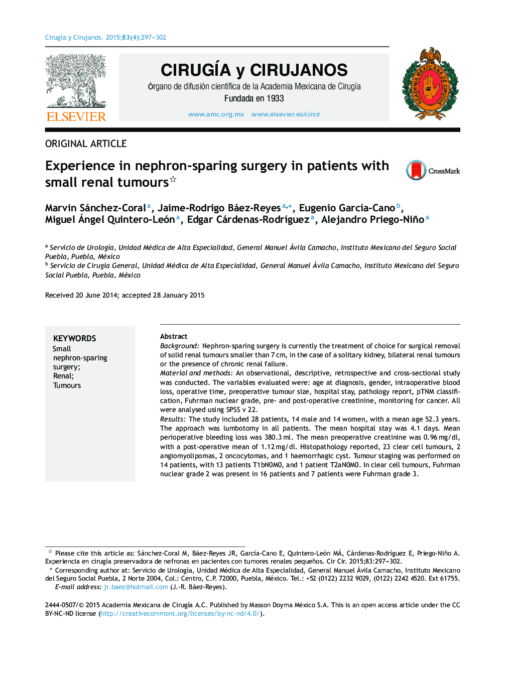 Experience in nephron-sparing surgery in patients with small renal tumours 