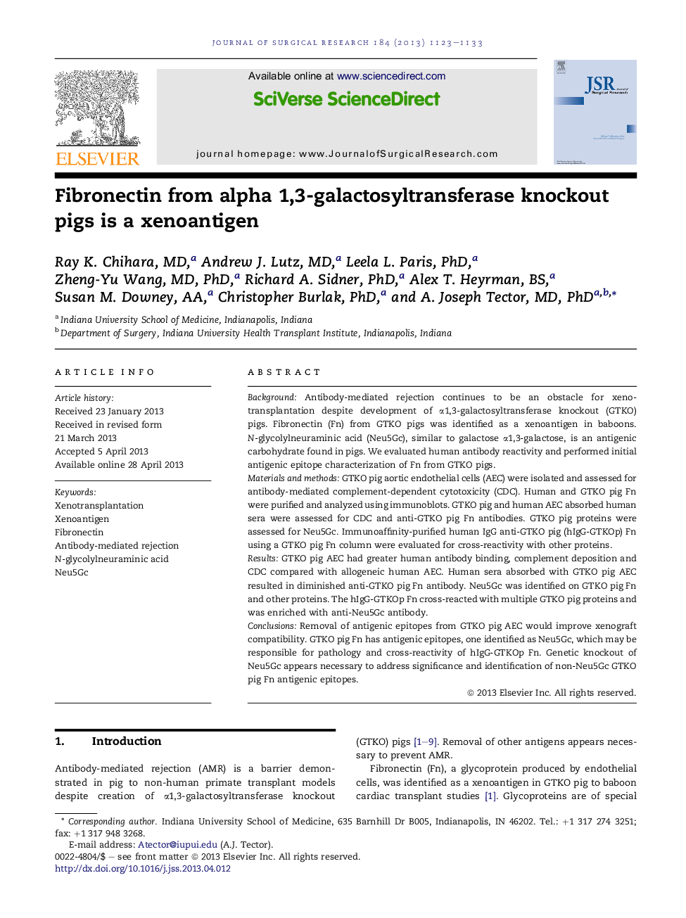 Fibronectin from alpha 1,3-galactosyltransferase knockout pigs is a xenoantigen