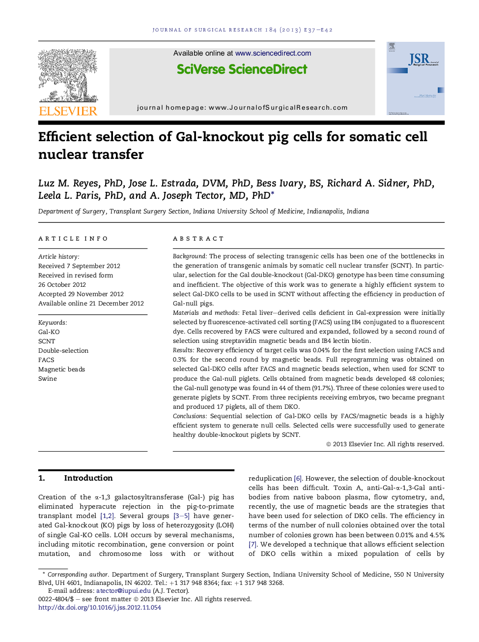 Efficient selection of Gal-knockout pig cells for somatic cell nuclear transfer