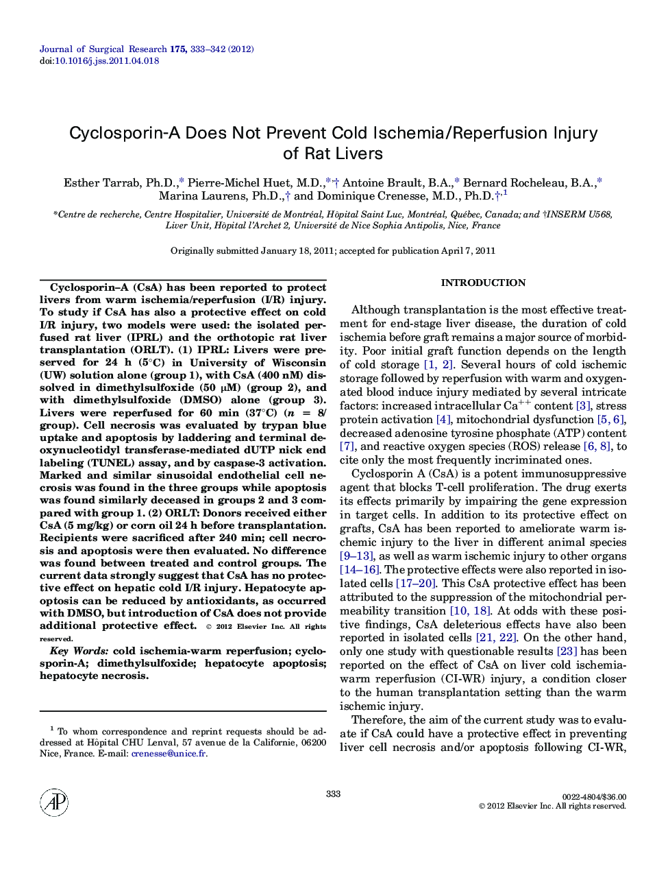 Cyclosporin-A Does Not Prevent Cold Ischemia/Reperfusion Injury of Rat Livers