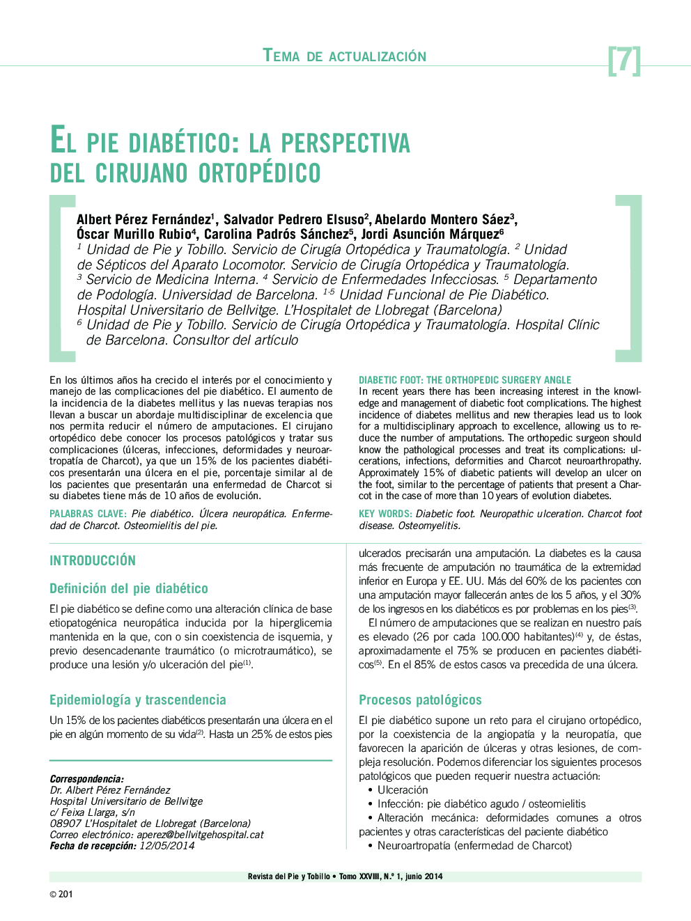 El pie diabético: la perspectiva del cirujano ortopédico