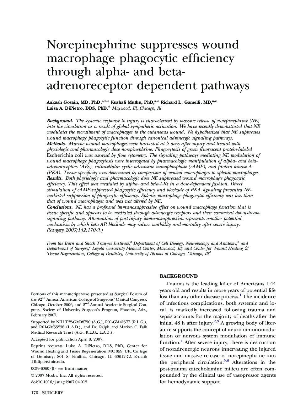 Norepinephrine suppresses wound macrophage phagocytic efficiency through alpha- and beta-adrenoreceptor dependent pathways 