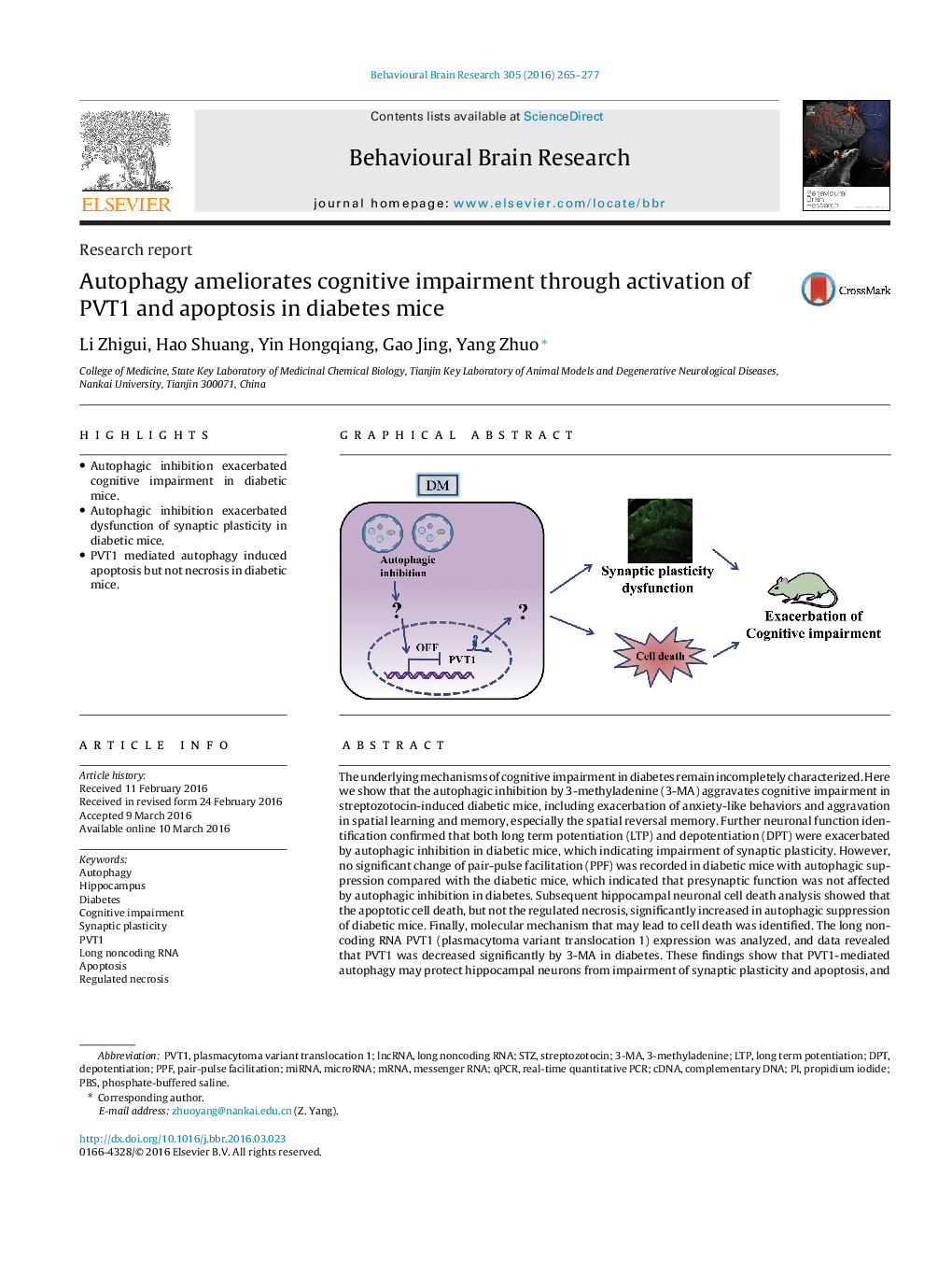 Autophagy ameliorates cognitive impairment through activation of PVT1 and apoptosis in diabetes mice