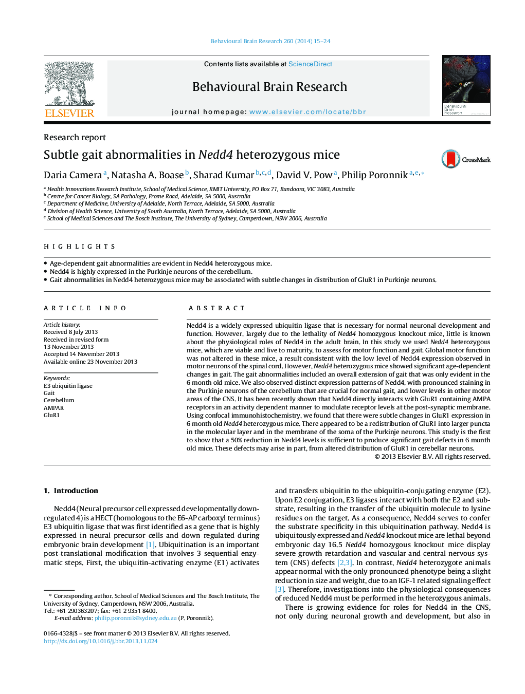 Subtle gait abnormalities in Nedd4 heterozygous mice