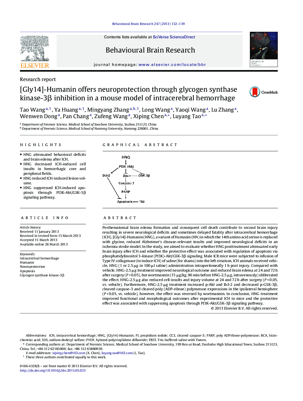 [Gly14]-Humanin offers neuroprotection through glycogen synthase kinase-3β inhibition in a mouse model of intracerebral hemorrhage