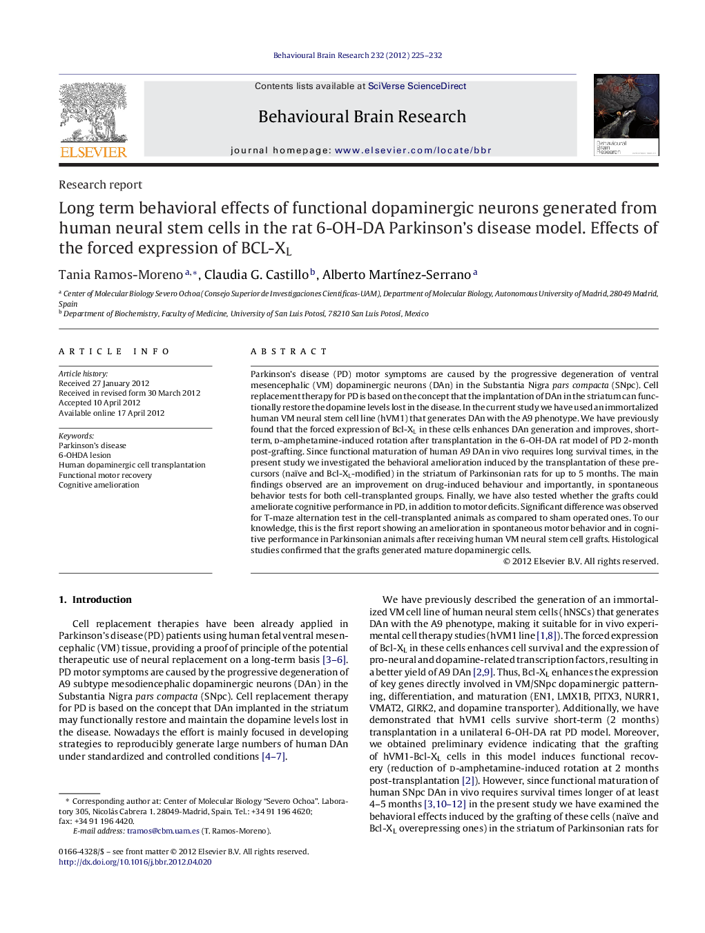 Long term behavioral effects of functional dopaminergic neurons generated from human neural stem cells in the rat 6-OH-DA Parkinson's disease model. Effects of the forced expression of BCL-XL