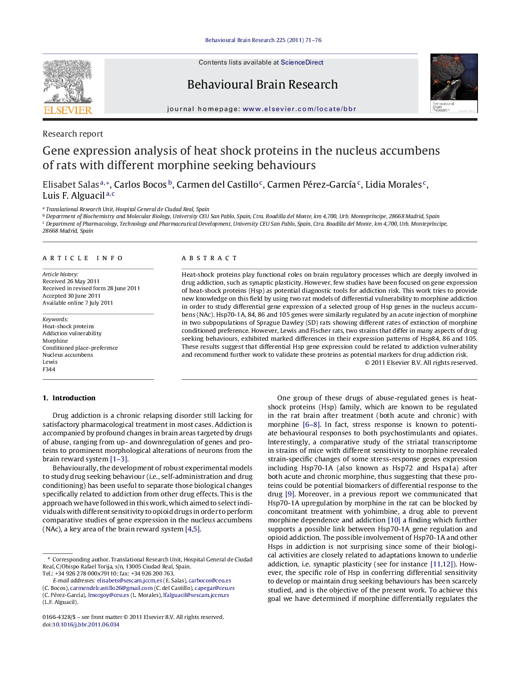 Gene expression analysis of heat shock proteins in the nucleus accumbens of rats with different morphine seeking behaviours