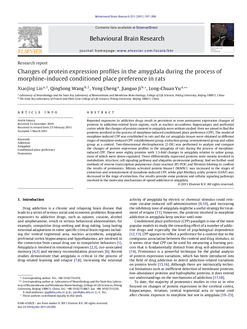 Changes of protein expression profiles in the amygdala during the process of morphine-induced conditioned place preference in rats