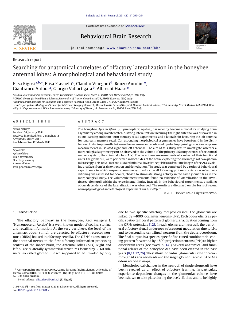 Searching for anatomical correlates of olfactory lateralization in the honeybee antennal lobes: A morphological and behavioural study