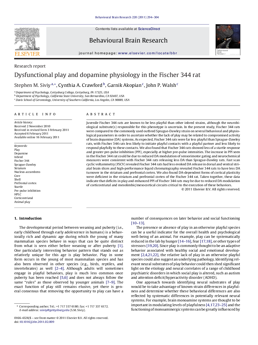 Dysfunctional play and dopamine physiology in the Fischer 344 rat