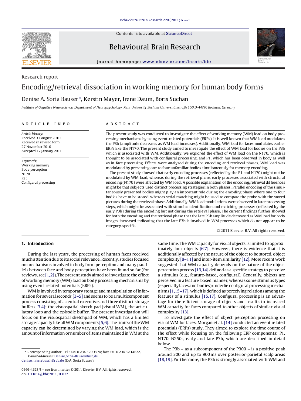 Encoding/retrieval dissociation in working memory for human body forms