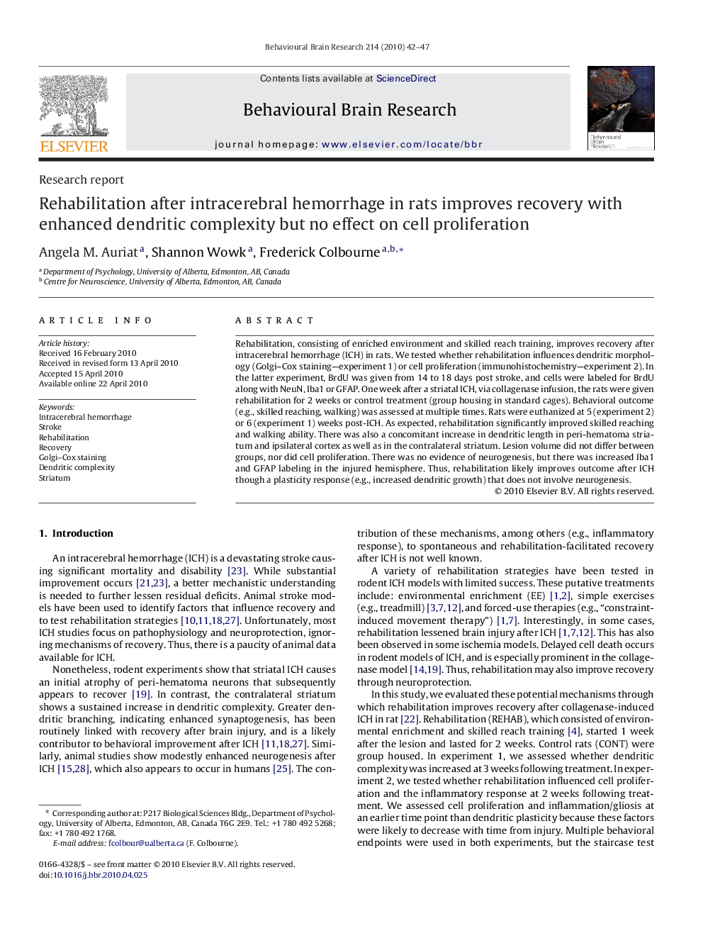 Rehabilitation after intracerebral hemorrhage in rats improves recovery with enhanced dendritic complexity but no effect on cell proliferation