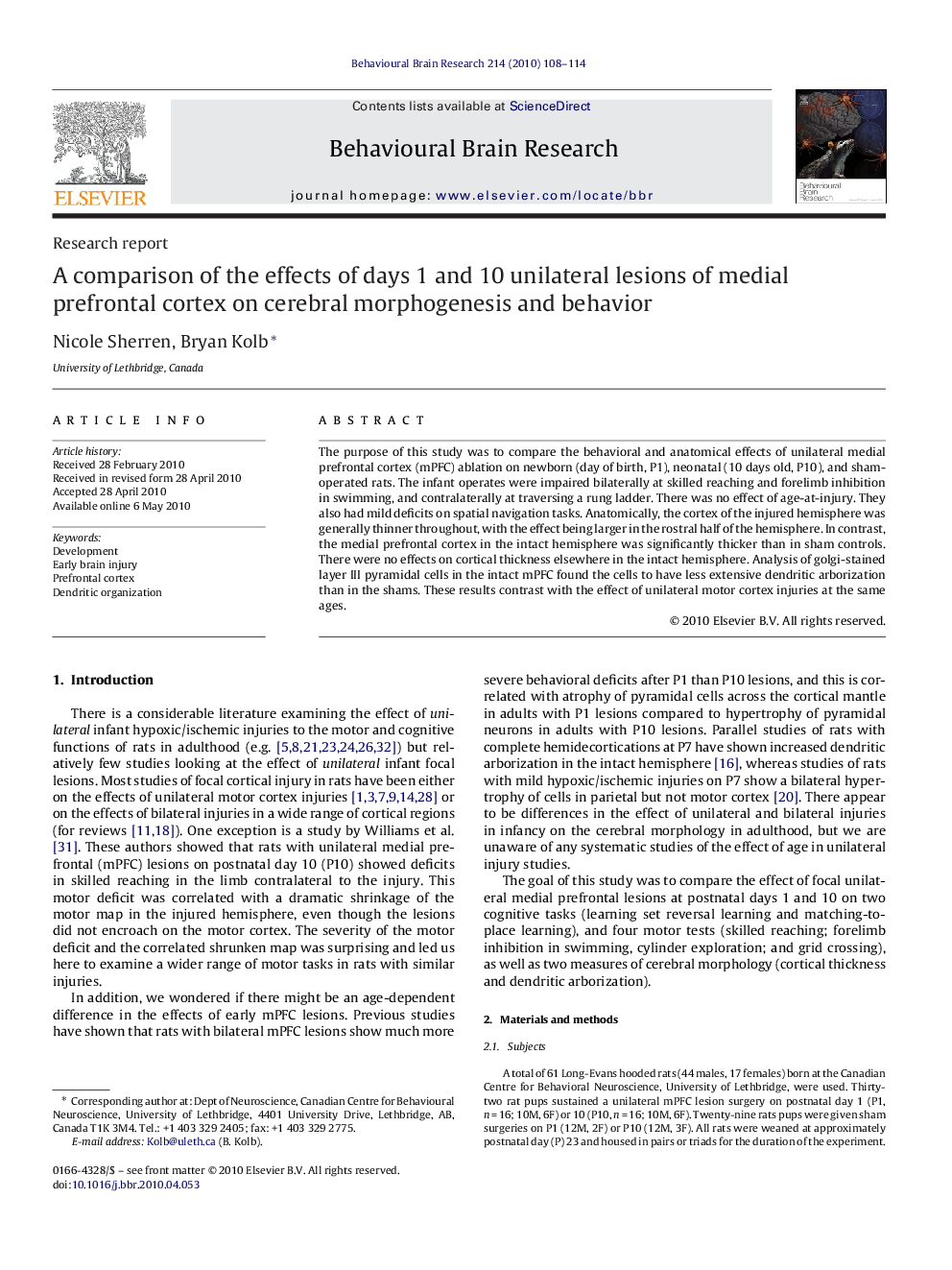 A comparison of the effects of days 1 and 10 unilateral lesions of medial prefrontal cortex on cerebral morphogenesis and behavior