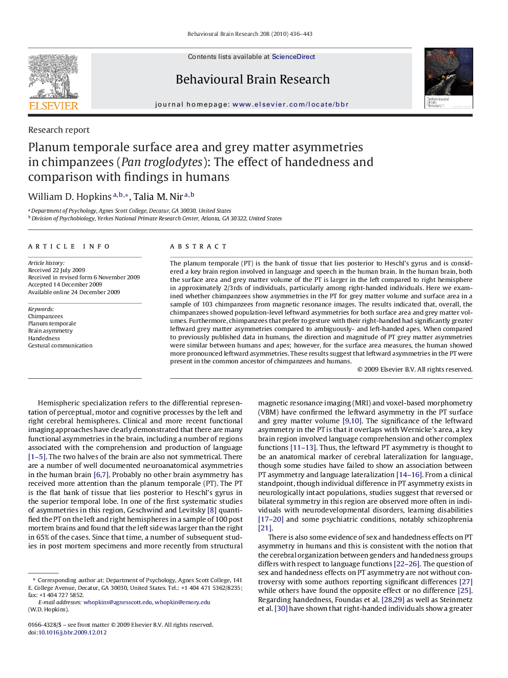 Planum temporale surface area and grey matter asymmetries in chimpanzees (Pan troglodytes): The effect of handedness and comparison with findings in humans