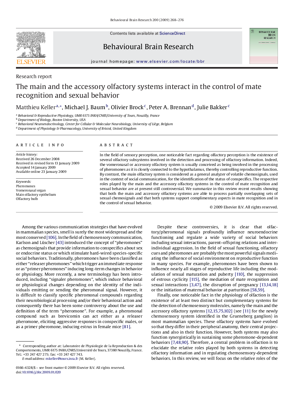 The main and the accessory olfactory systems interact in the control of mate recognition and sexual behavior