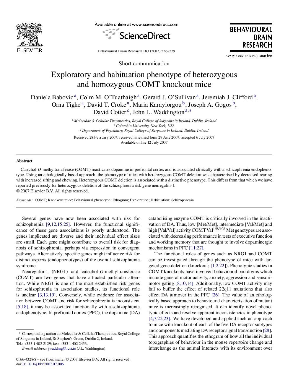 Exploratory and habituation phenotype of heterozygous and homozygous COMT knockout mice