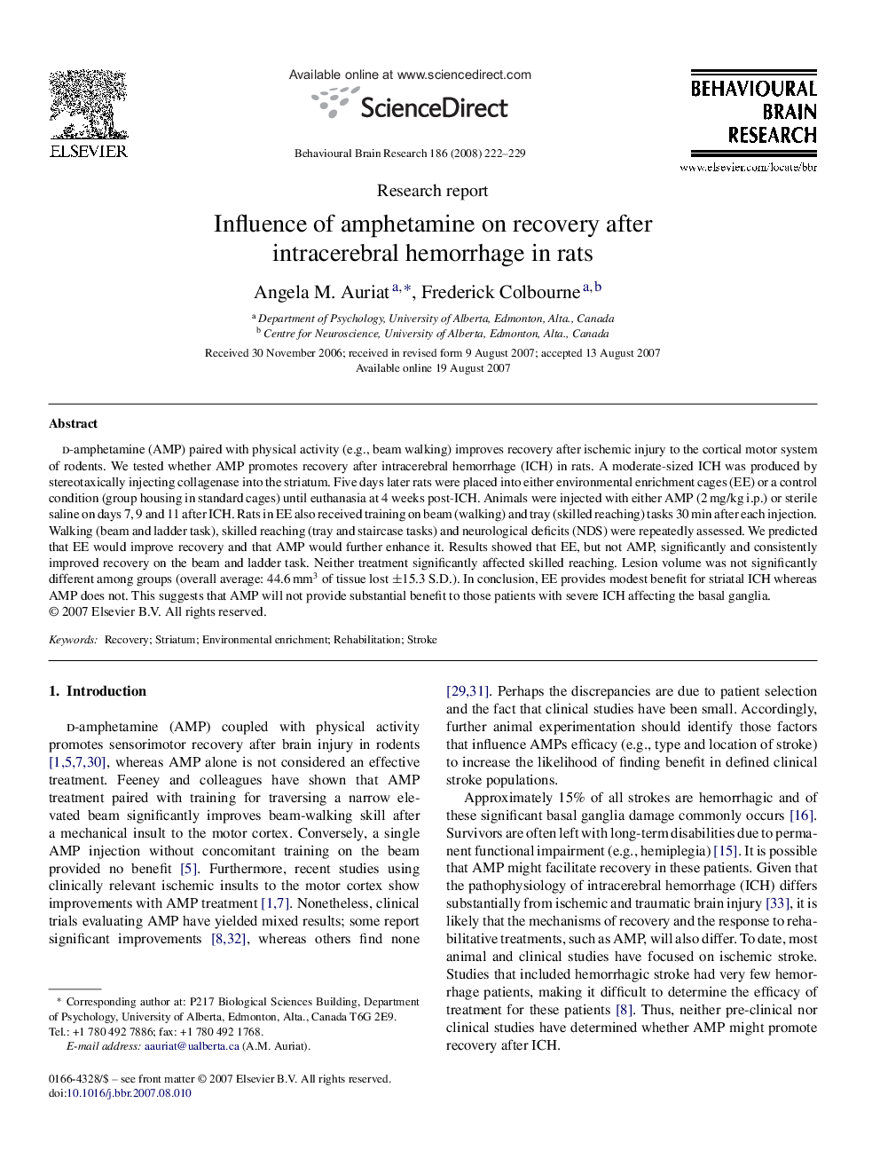 Influence of amphetamine on recovery after intracerebral hemorrhage in rats