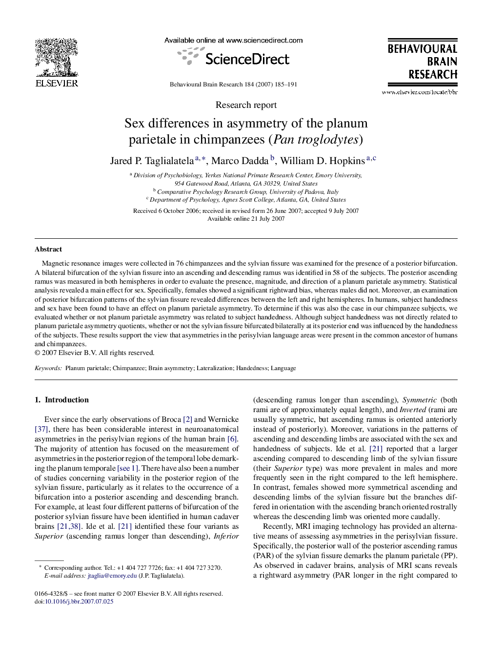 Sex differences in asymmetry of the planum parietale in chimpanzees (Pan troglodytes)