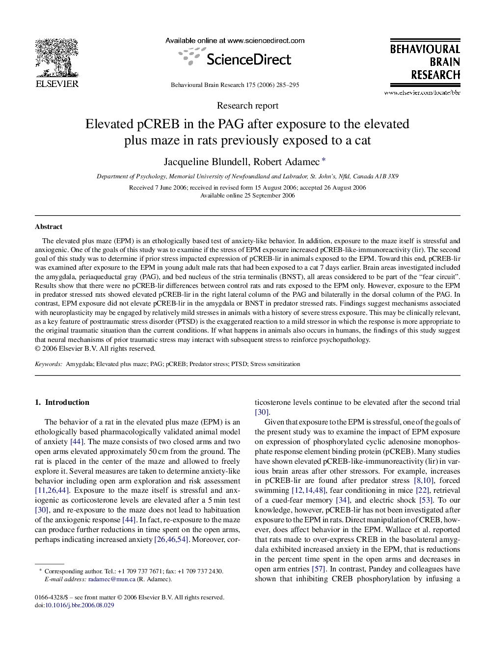 Elevated pCREB in the PAG after exposure to the elevated plus maze in rats previously exposed to a cat