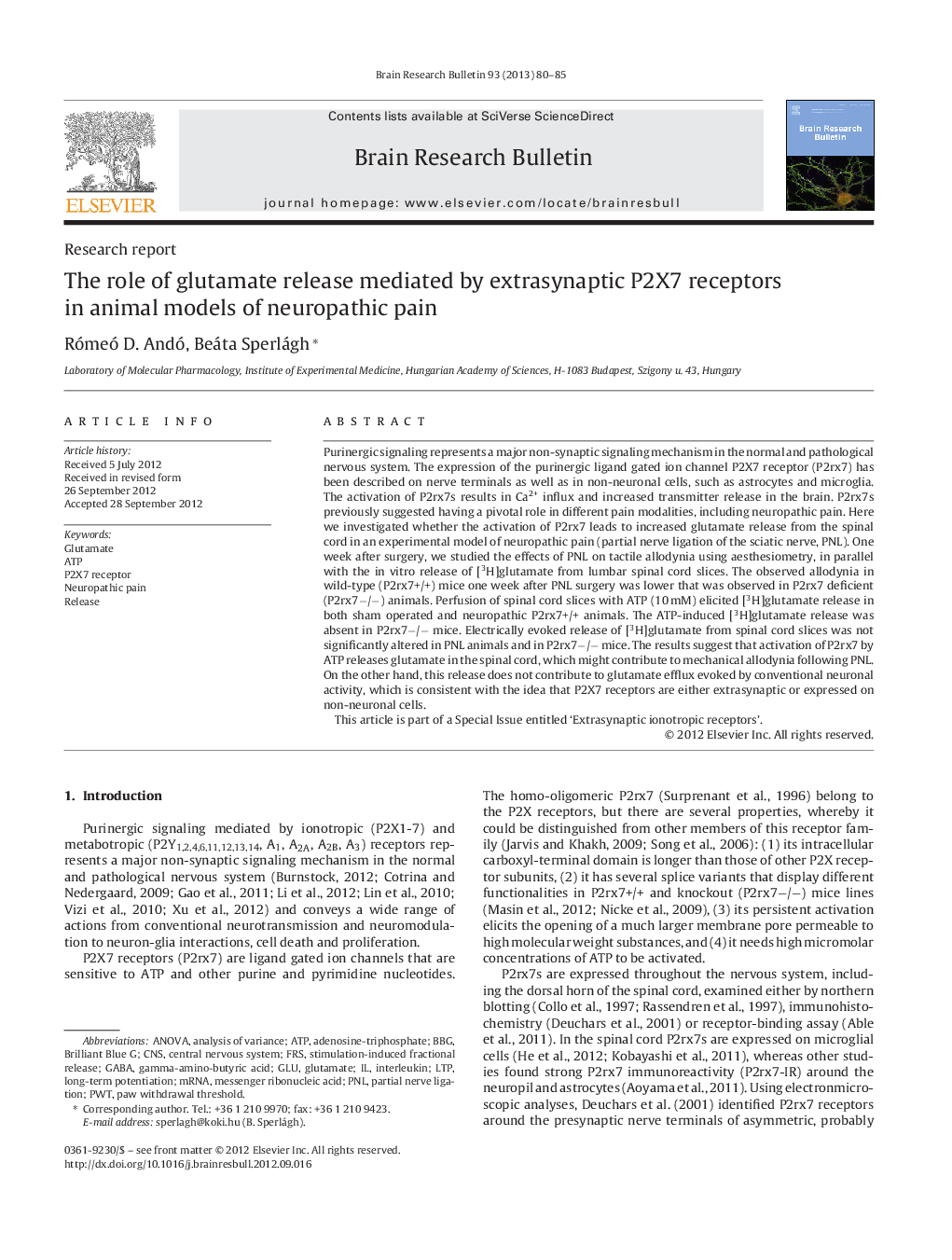 The role of glutamate release mediated by extrasynaptic P2X7 receptors in animal models of neuropathic pain