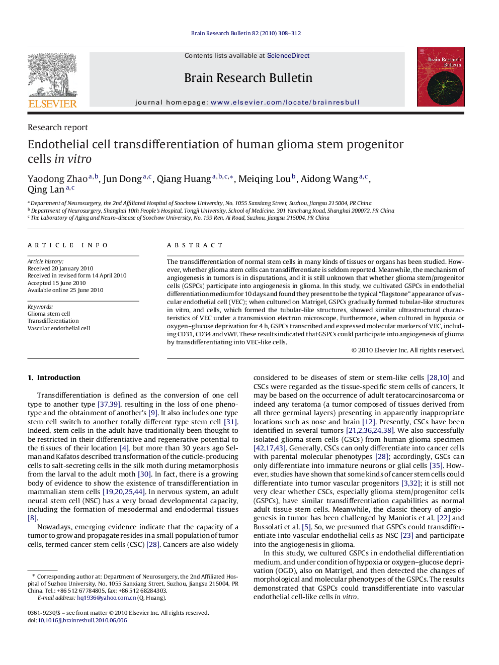 Endothelial cell transdifferentiation of human glioma stem progenitor cells in vitro