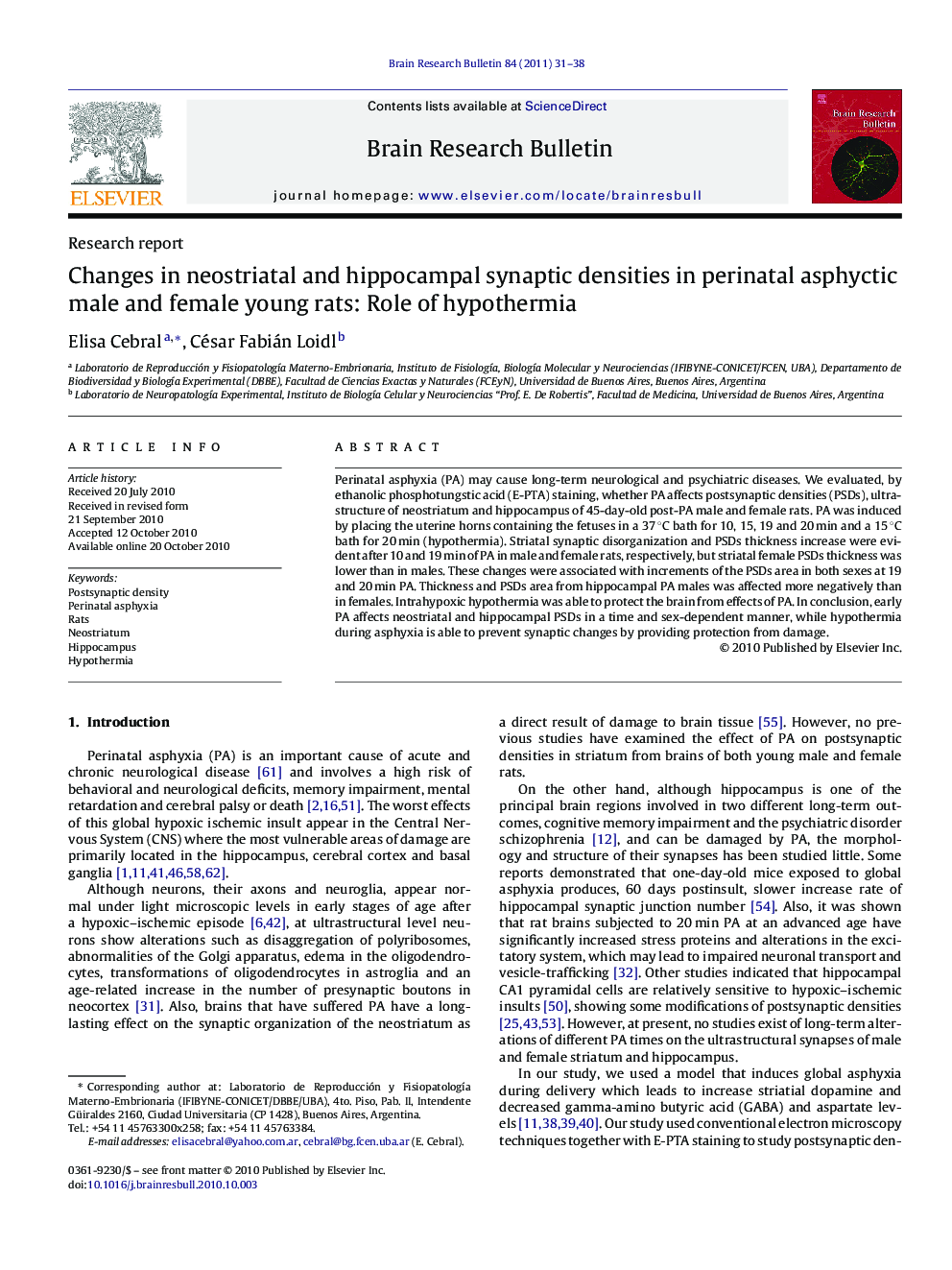 Changes in neostriatal and hippocampal synaptic densities in perinatal asphyctic male and female young rats: Role of hypothermia