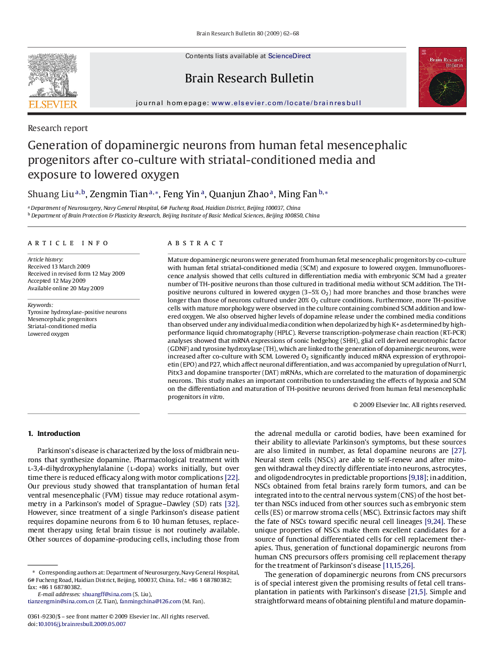 Generation of dopaminergic neurons from human fetal mesencephalic progenitors after co-culture with striatal-conditioned media and exposure to lowered oxygen