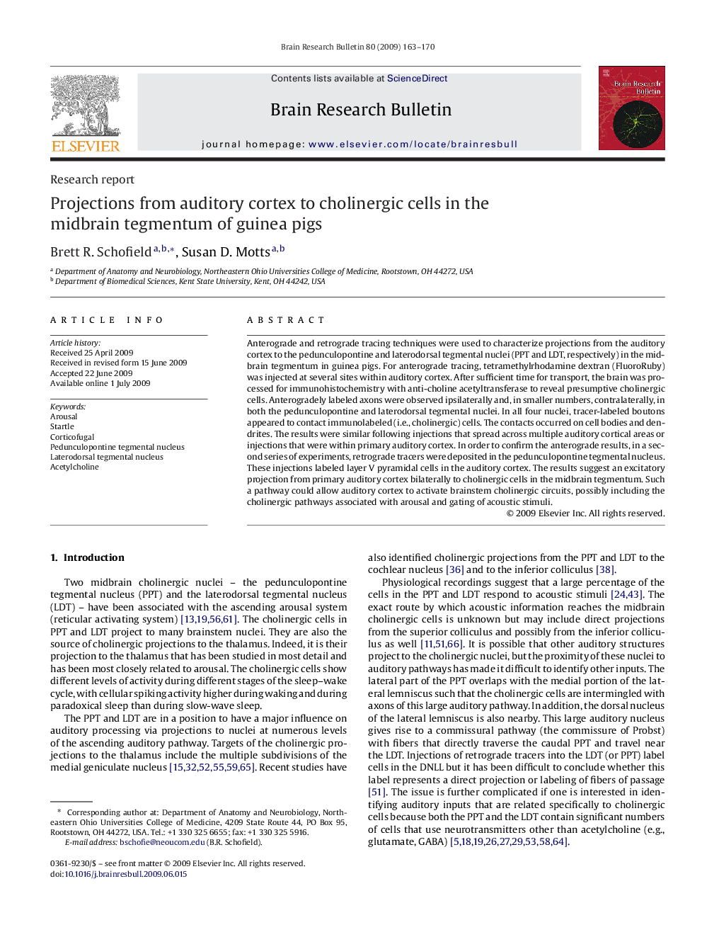 Projections from auditory cortex to cholinergic cells in the midbrain tegmentum of guinea pigs