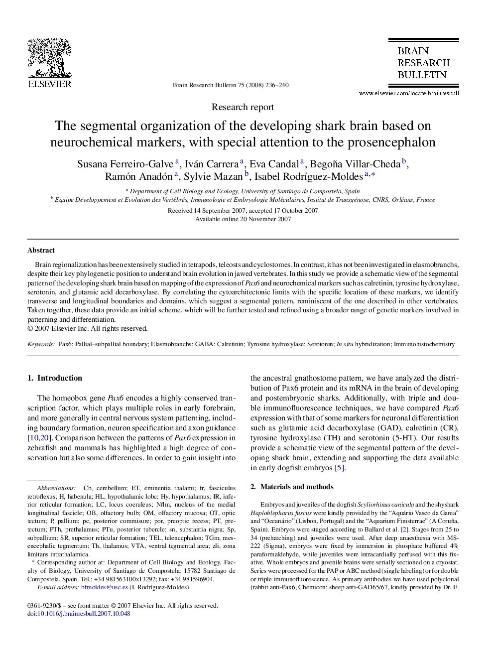 The segmental organization of the developing shark brain based on neurochemical markers, with special attention to the prosencephalon