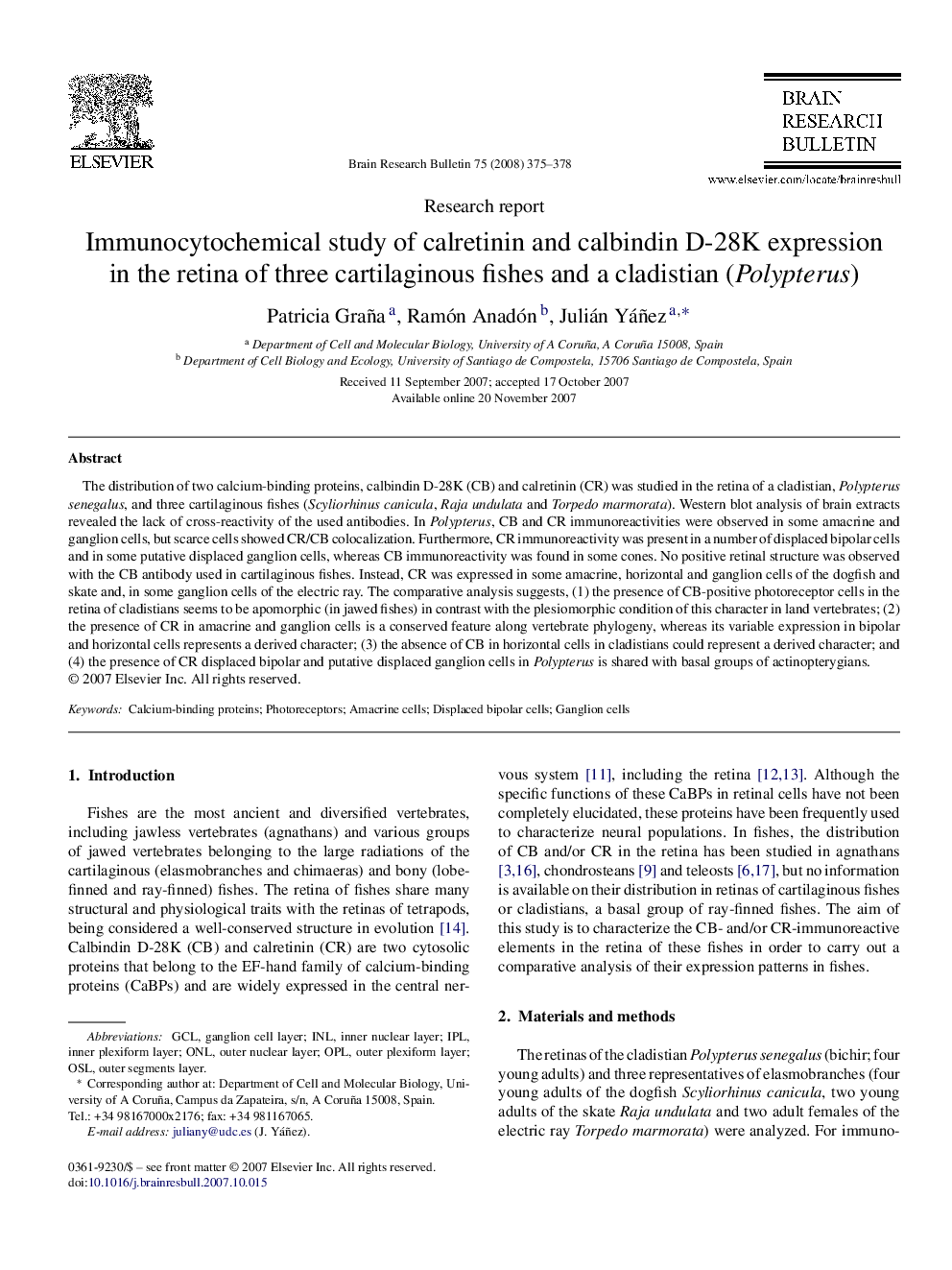 Immunocytochemical study of calretinin and calbindin D-28K expression in the retina of three cartilaginous fishes and a cladistian (Polypterus)